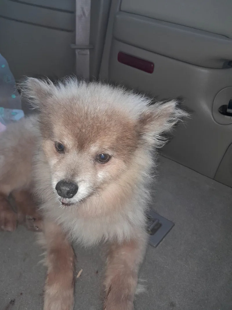 Bearbear  Richmond  thumbnail 2