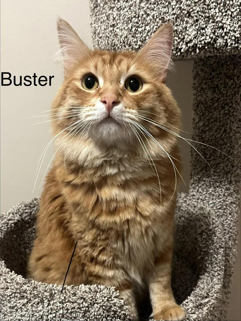 Buster
