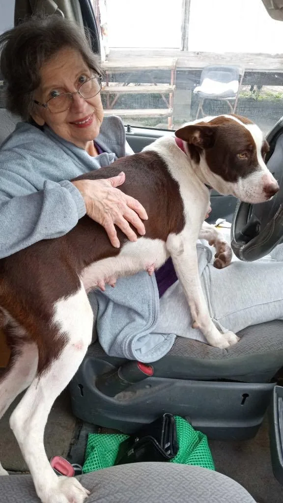 Shan Yang Pc thumbnail 3