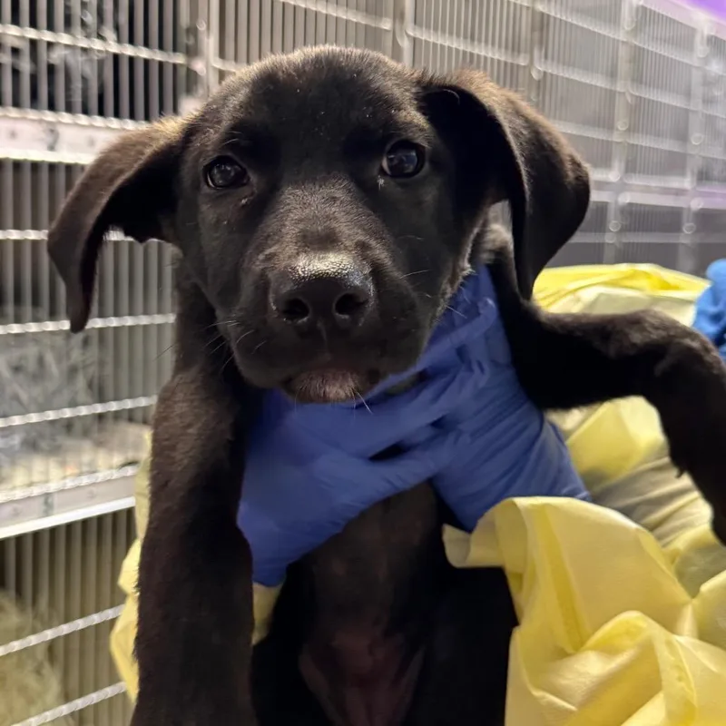 Michelle thumbnail 2