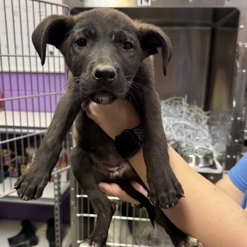 Michelle thumbnail 3