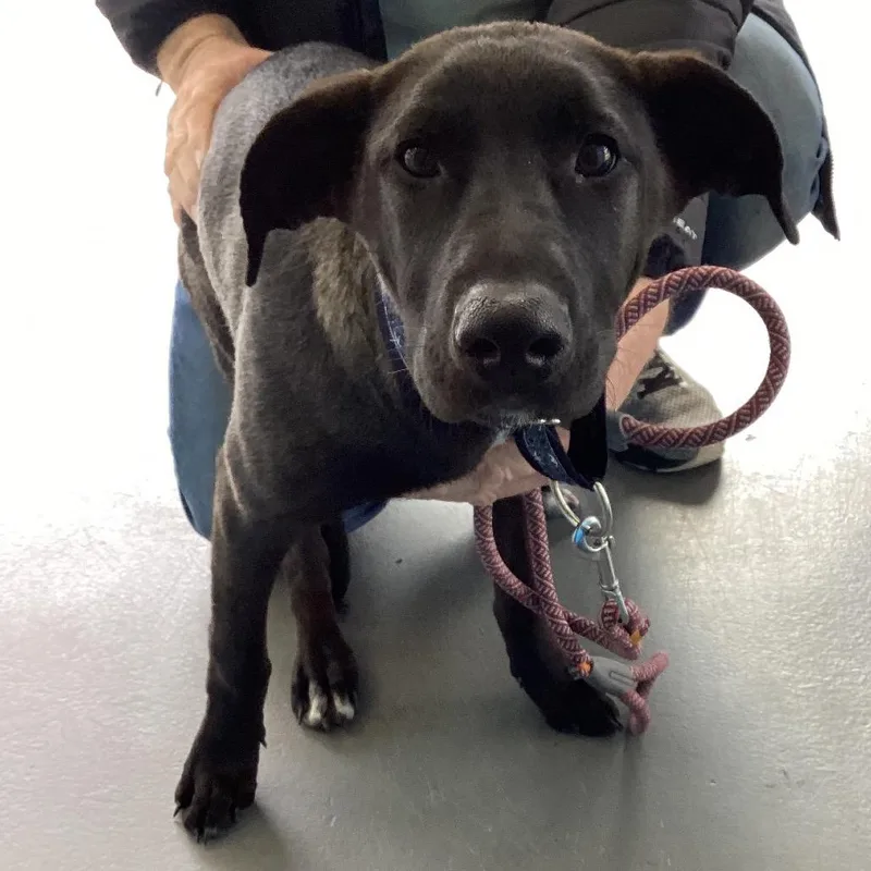 Michelle thumbnail 4