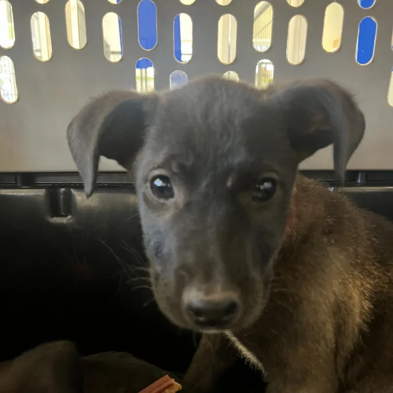 Michelle thumbnail 5