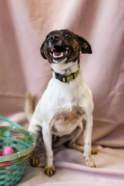 LuLu