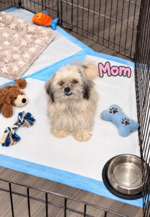 Leah thumbnail 3