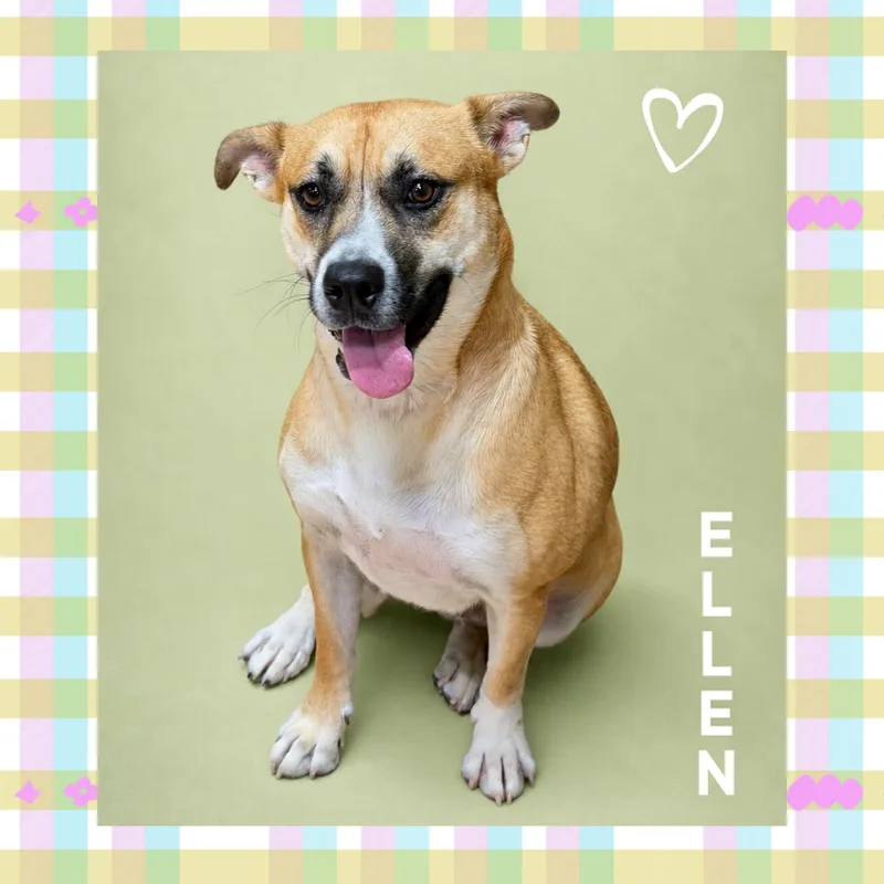 Ellen