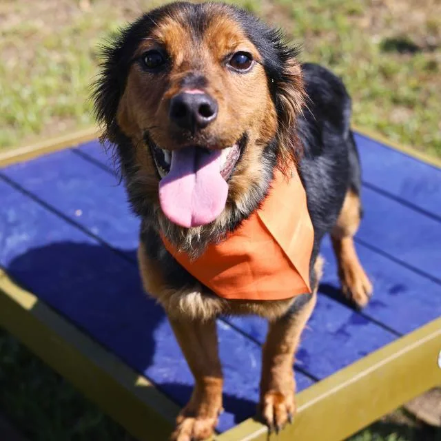 Max