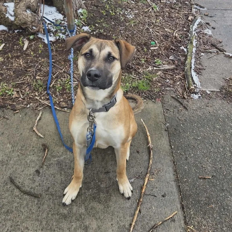 Moose Squirtle thumbnail 2