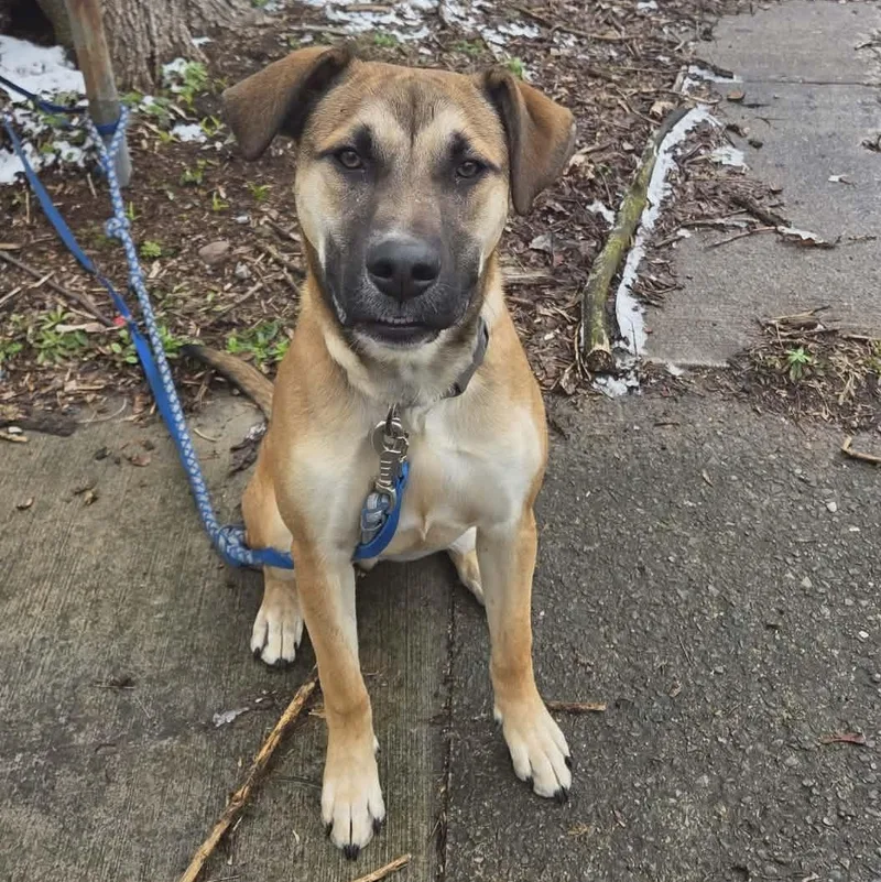 Moose Squirtle thumbnail 5