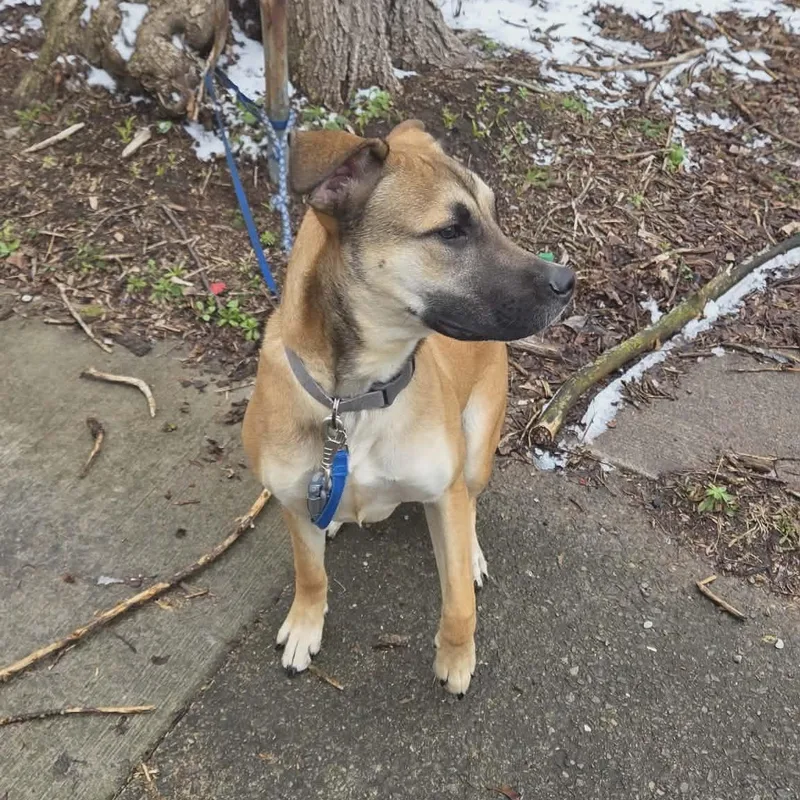 Moose Squirtle thumbnail 6