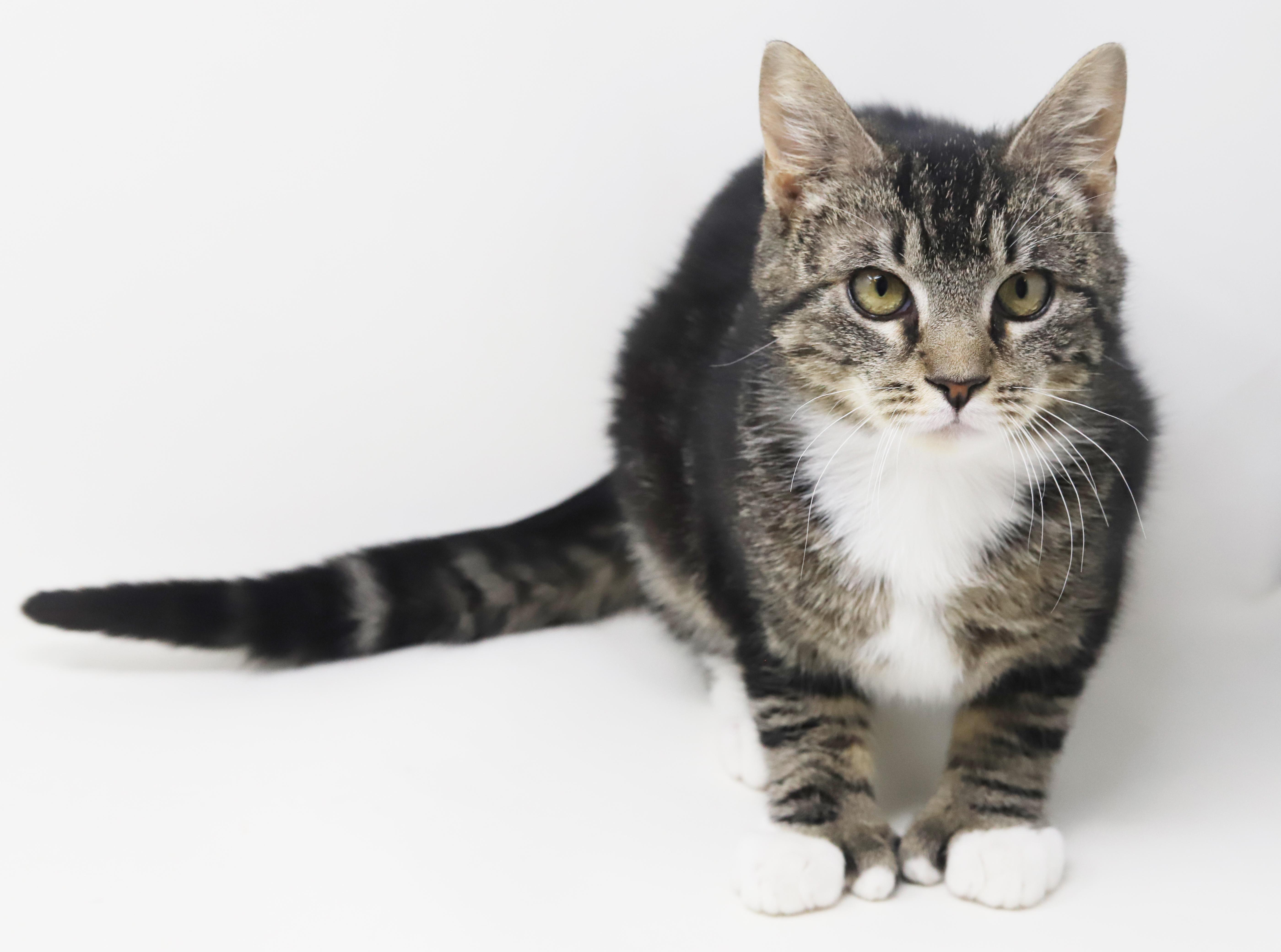 Tiny! What A Joy! thumbnail 2