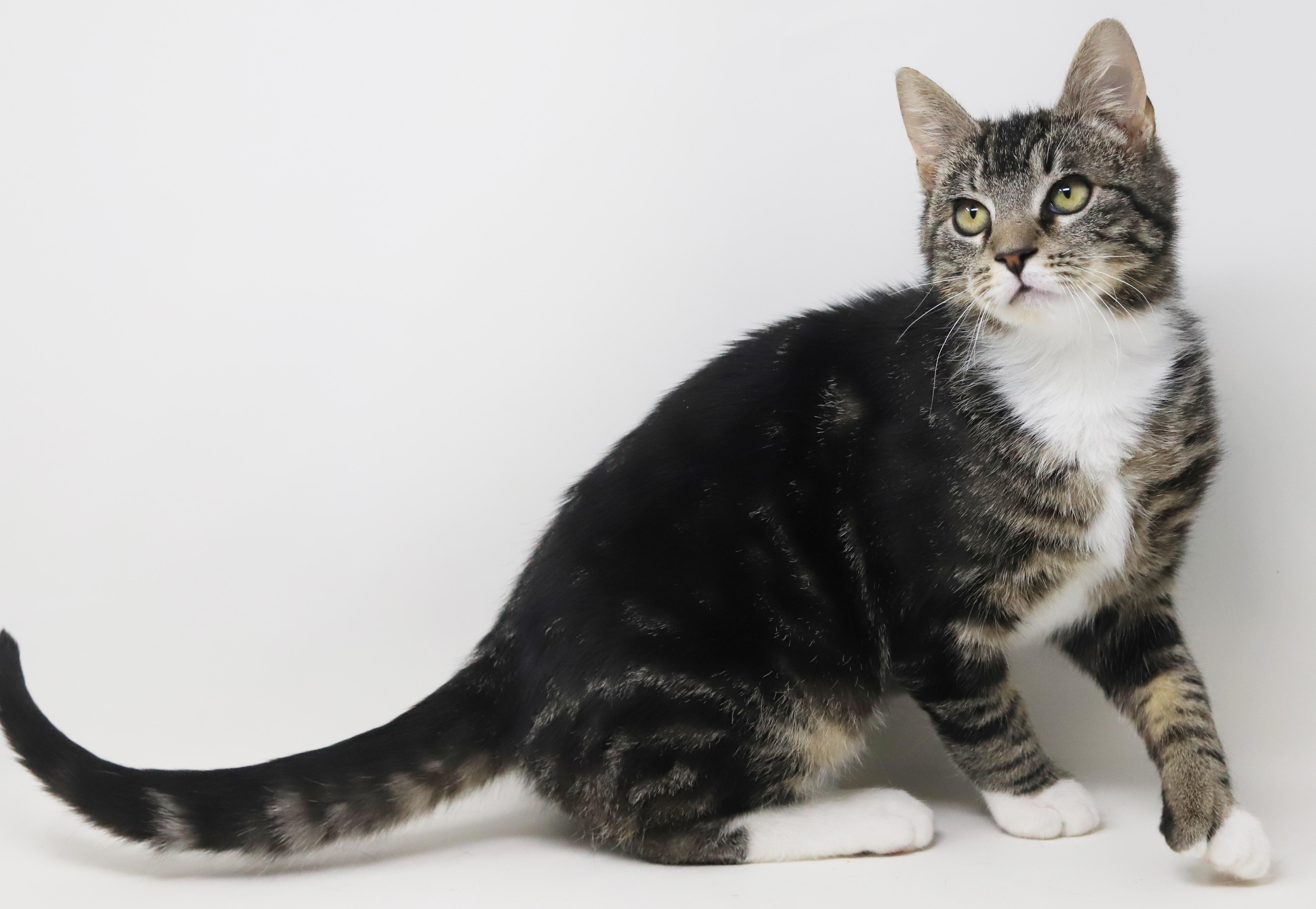 Tiny! What A Joy! thumbnail 3