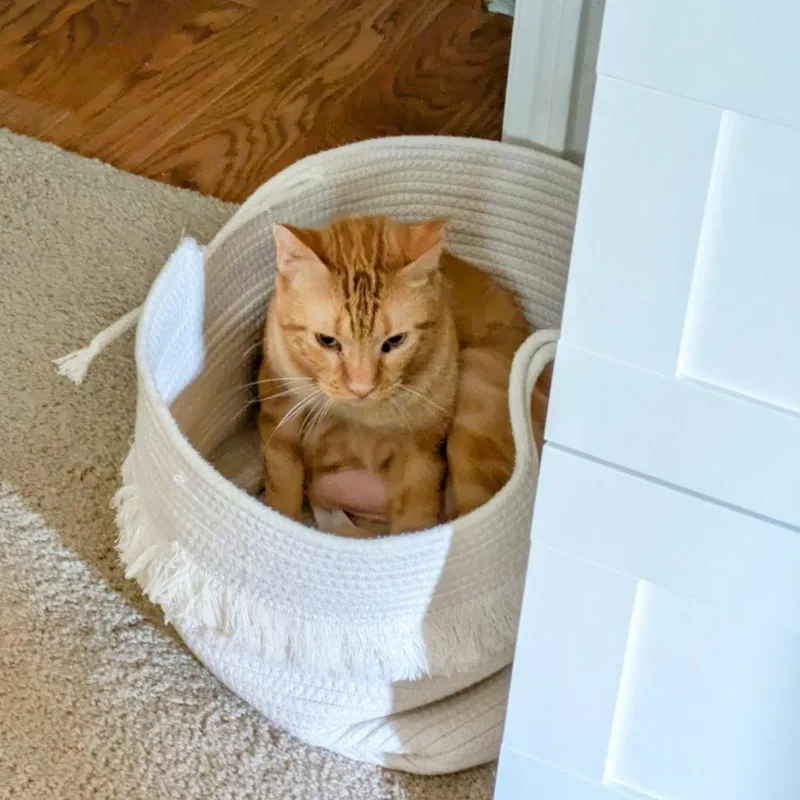 Chilton Years thumbnail 3