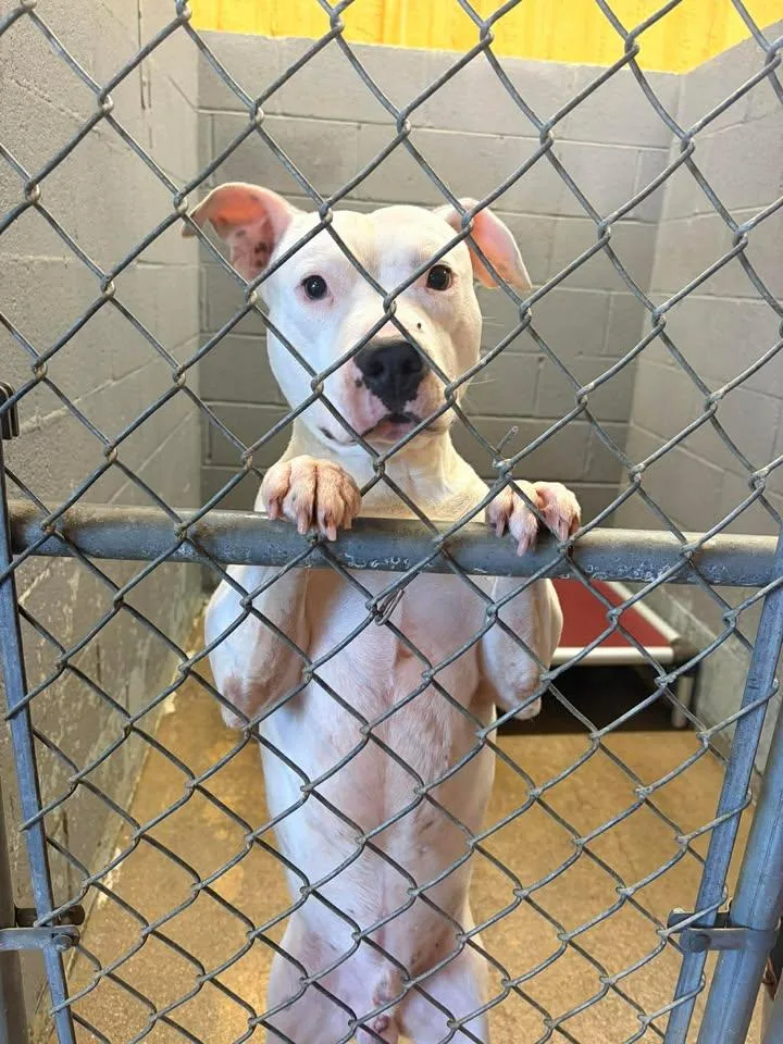 Froggybottom thumbnail 2