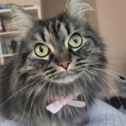 Stephanie thumbnail 2