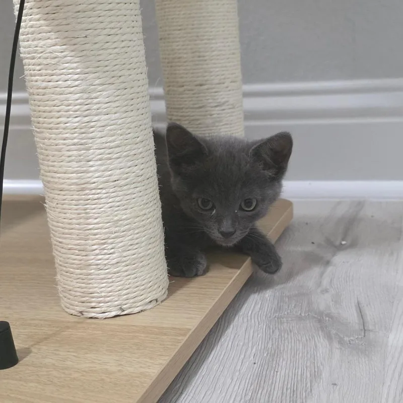 Fred thumbnail 2