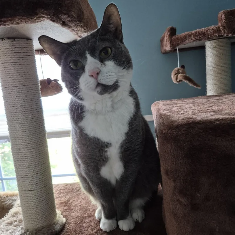Willie thumbnail 6