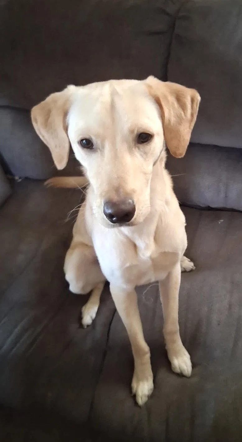 Benny