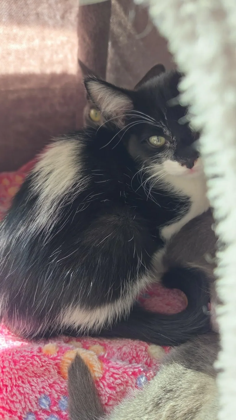 Riddler”ette” thumbnail 2