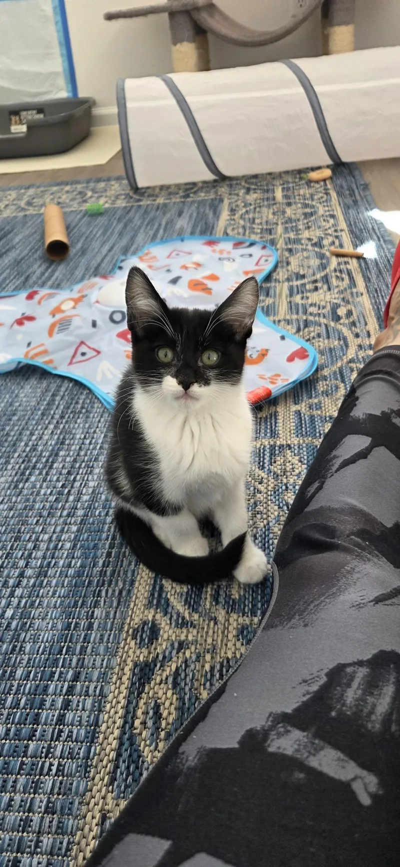 Riddler”ette” thumbnail 3