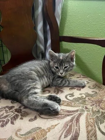 Daniela