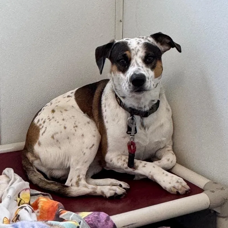 Hercules thumbnail 2