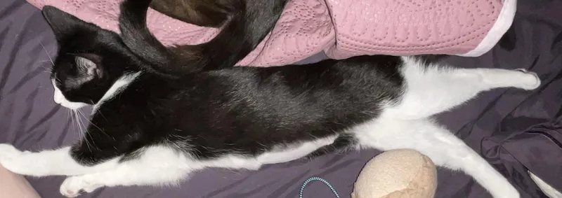 Chester