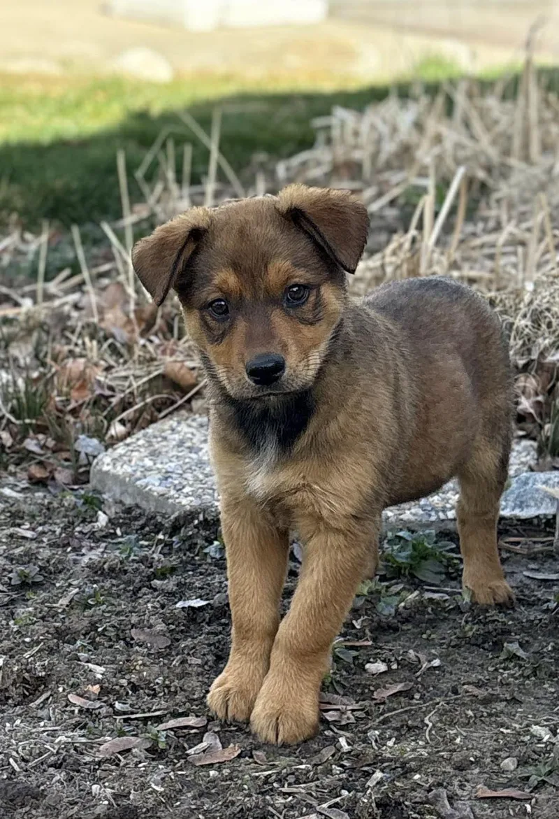 Rosie Posey thumbnail 3