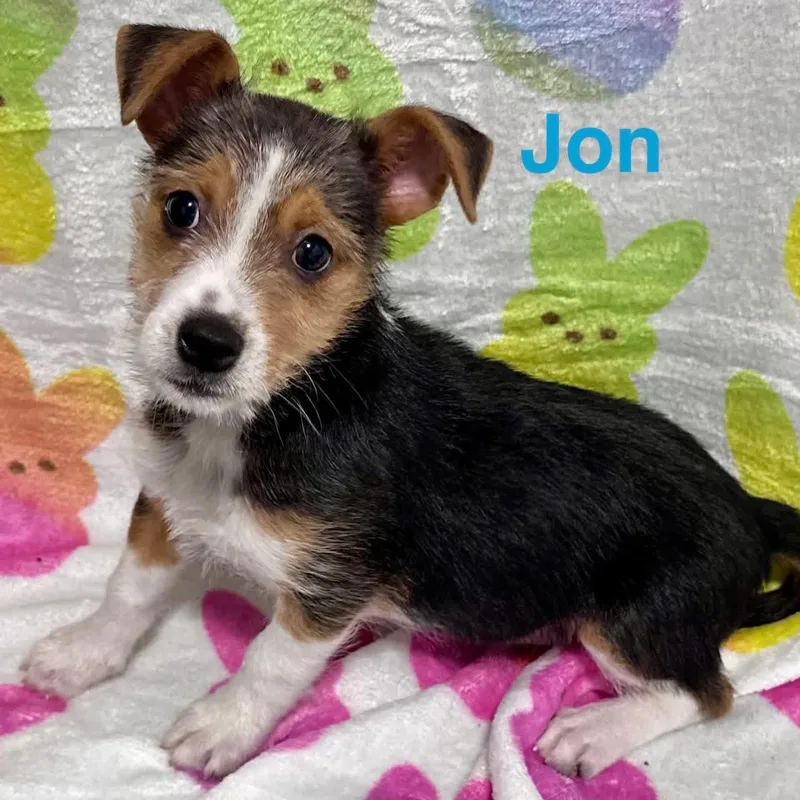 Jon