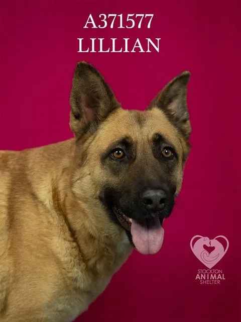 Lillian