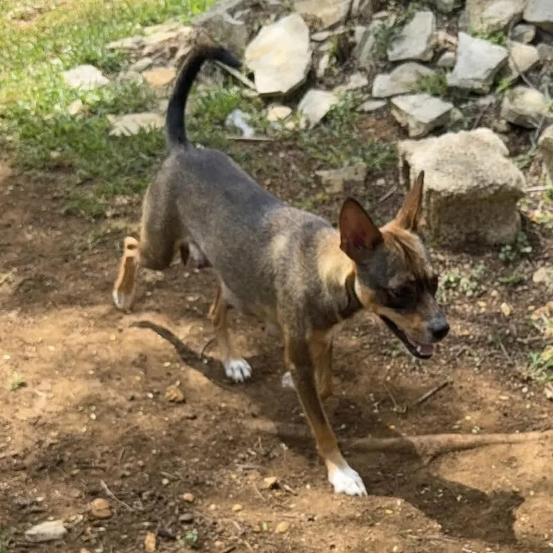 Mama Reba thumbnail 2