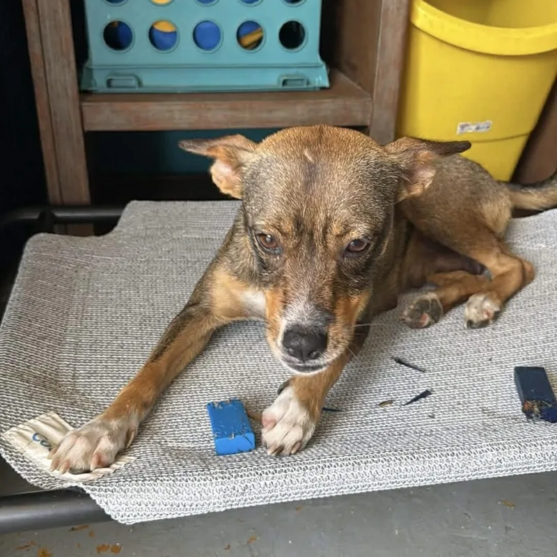 Mama Reba thumbnail 5