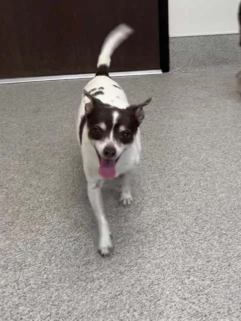 Bonnie
