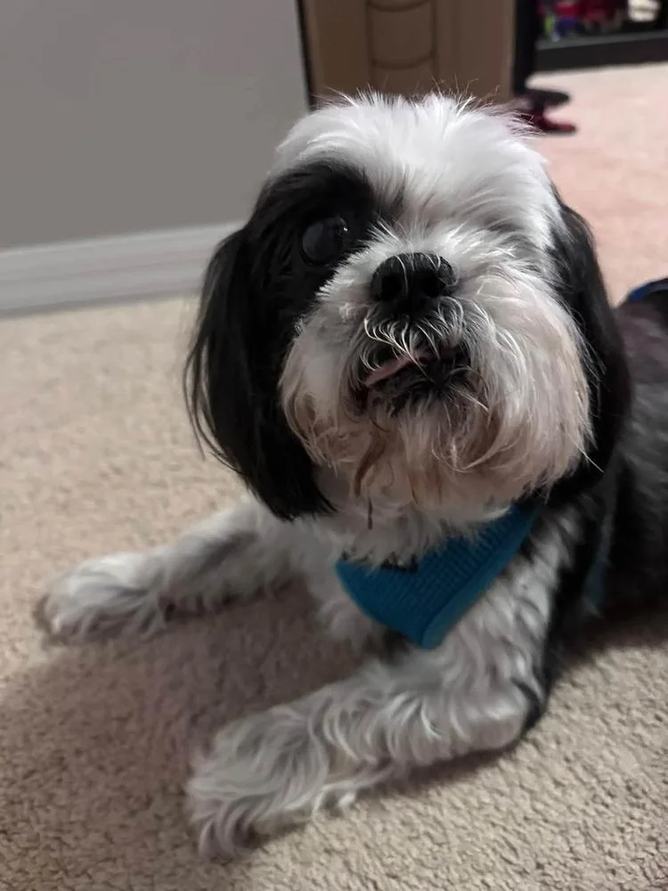 Sweet Charlie