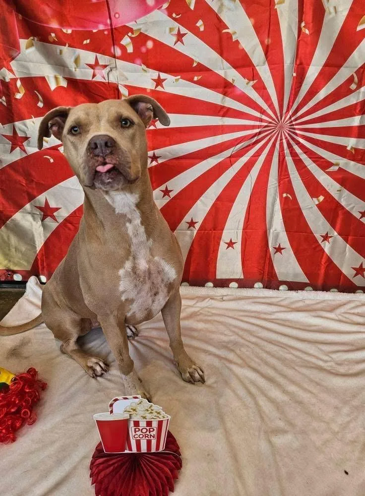 Honey Aka Halsie thumbnail 3