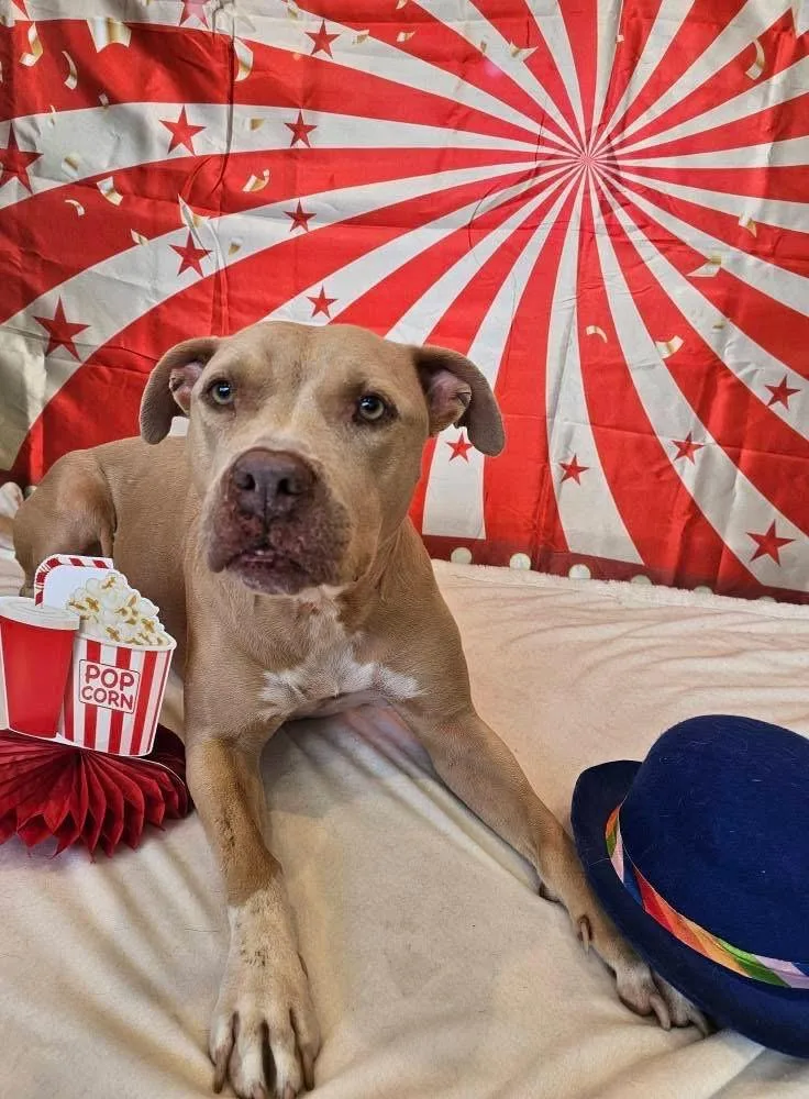 Honey Aka Halsie thumbnail 6