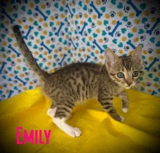Emily thumbnail 2