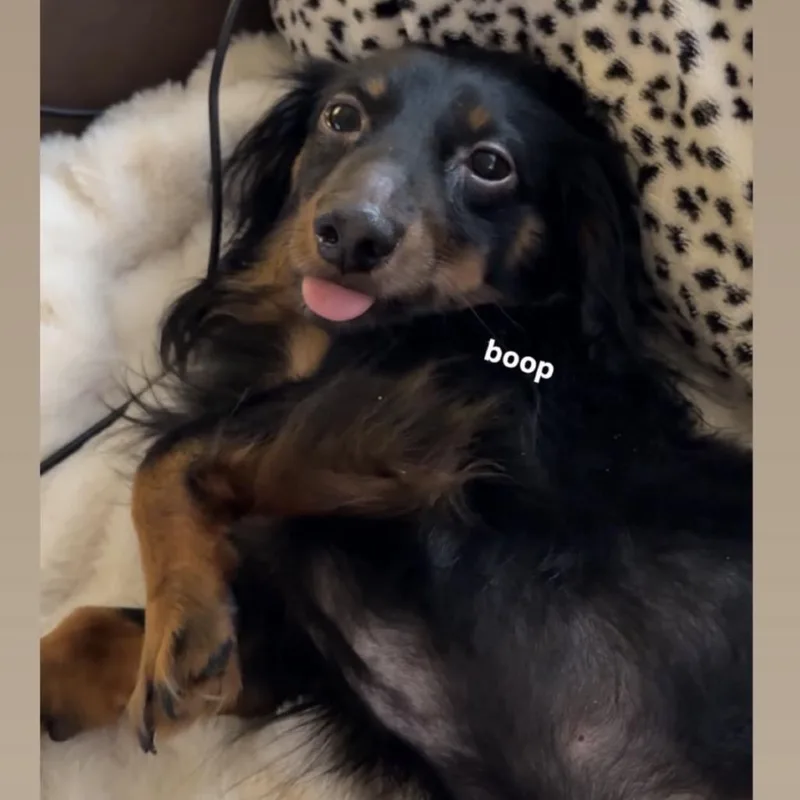 Buttons thumbnail 4