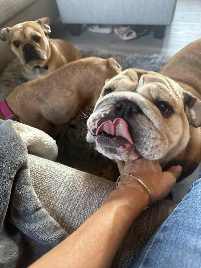 Sweet Potato thumbnail 2