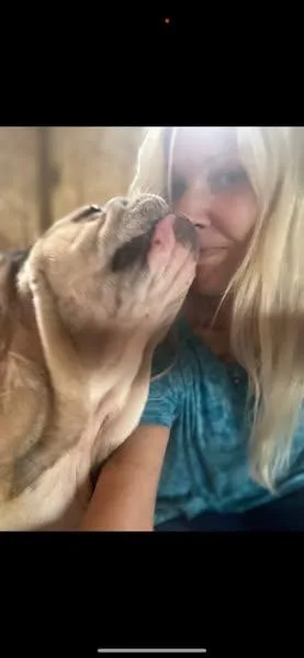 Sweet Potato thumbnail 3