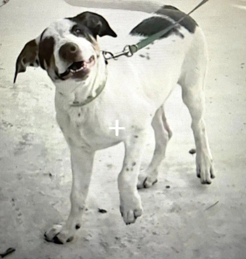 Tugger thumbnail 3