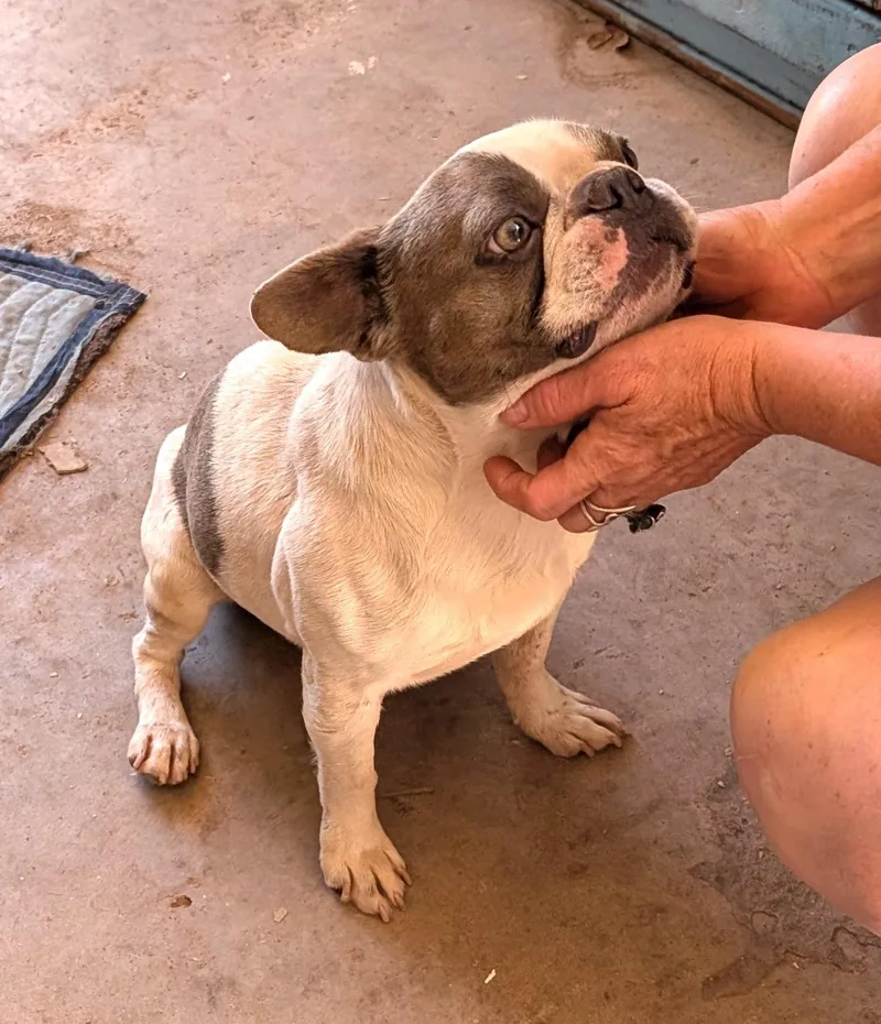 Fonda  Phoenix Area thumbnail 2