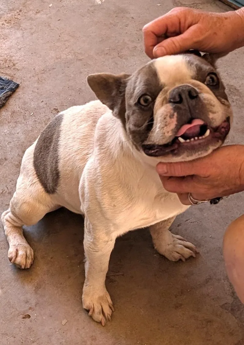 Fonda  Phoenix Area thumbnail 3