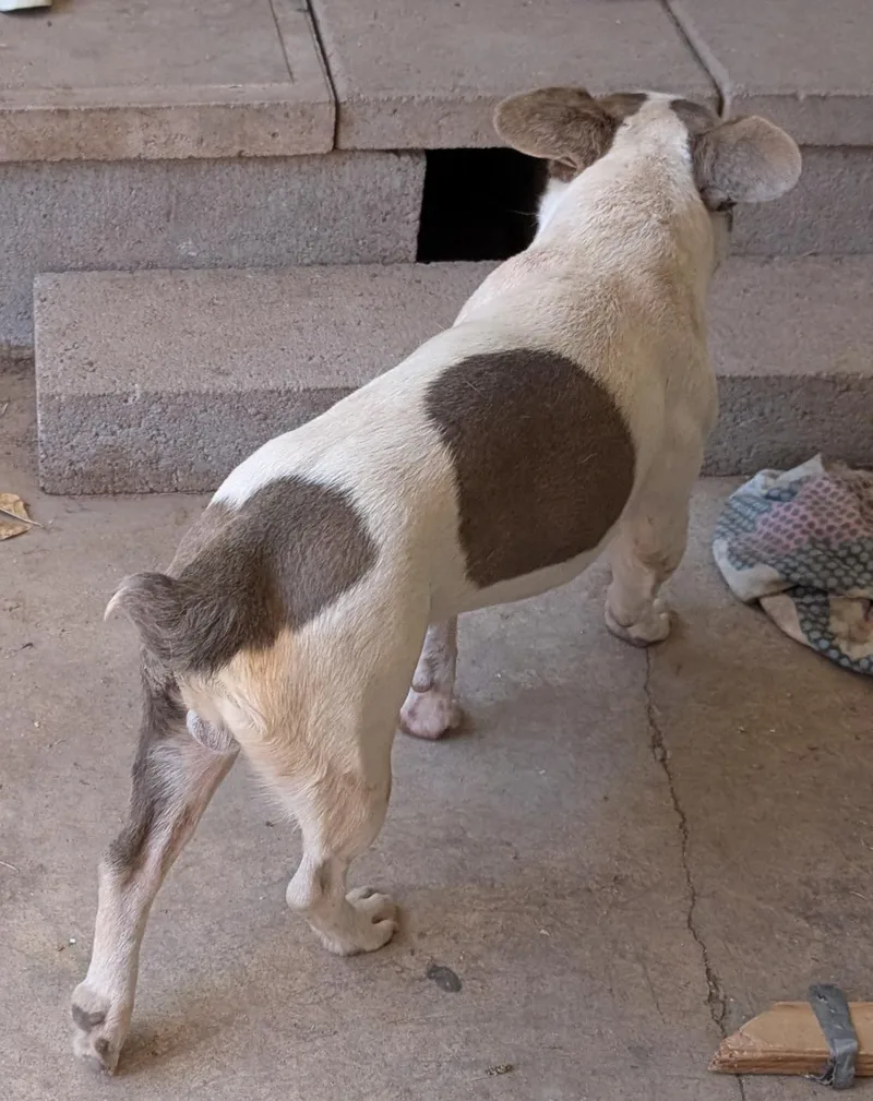 Fonda  Phoenix Area thumbnail 4