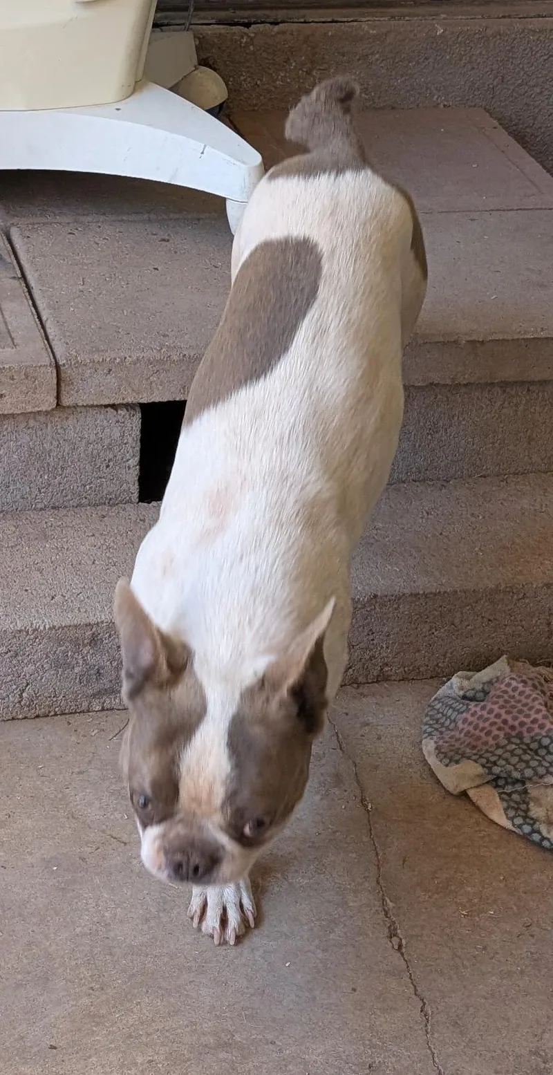 Fonda  Phoenix Area thumbnail 5