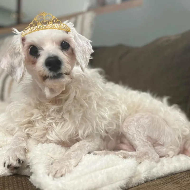 Lola thumbnail 5