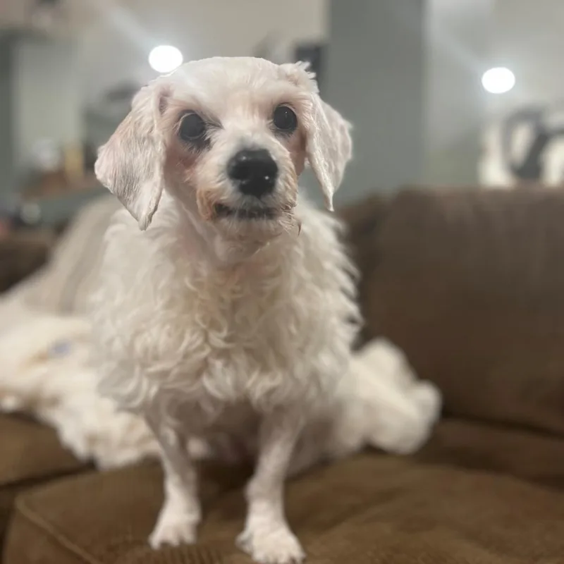 Lola thumbnail 6
