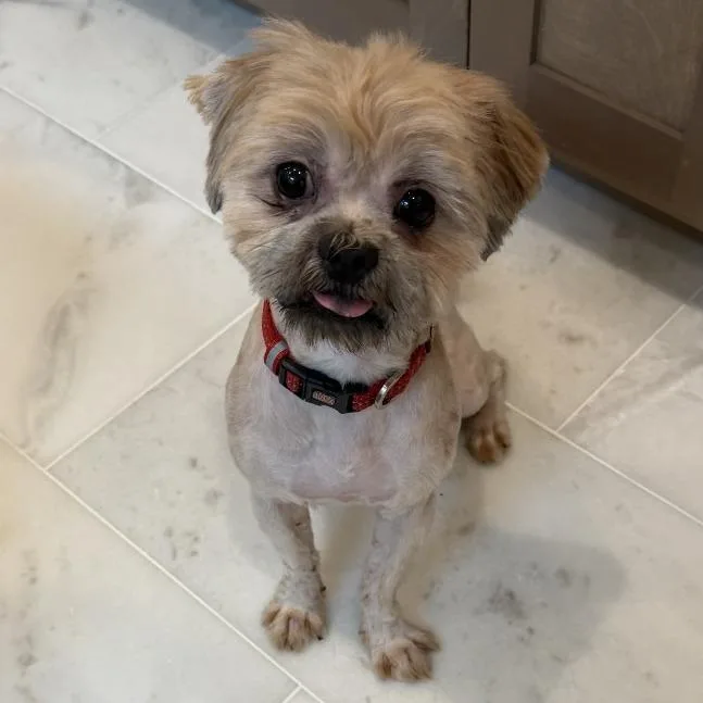 Ernie thumbnail 2