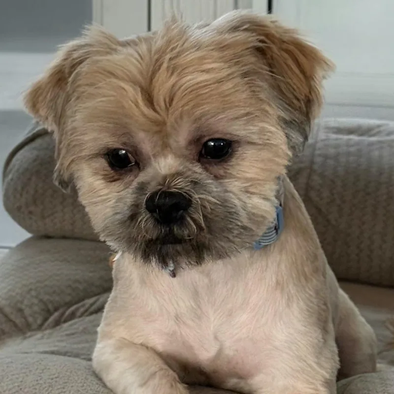 Ernie thumbnail 3