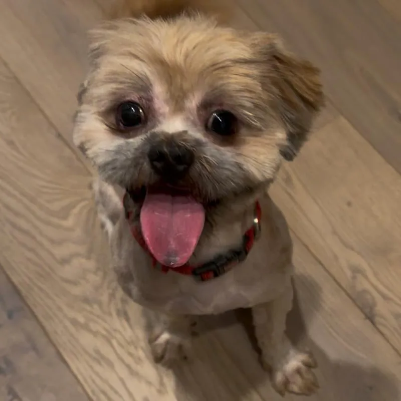 Ernie thumbnail 4